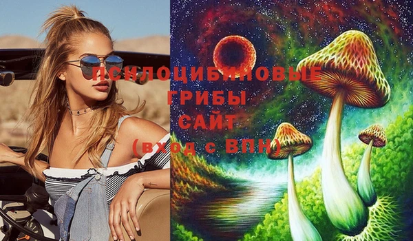 первитин Армянск