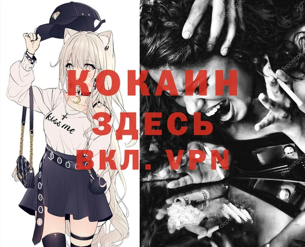 прущая мука Арсеньев