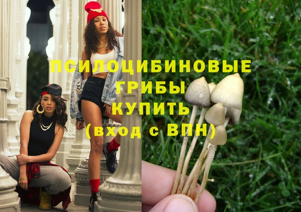прущая мука Арсеньев