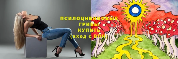 твердый Аркадак