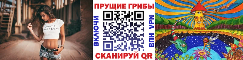 Купить закладки  Лакинск  Галлюциногенные грибы мицелий 